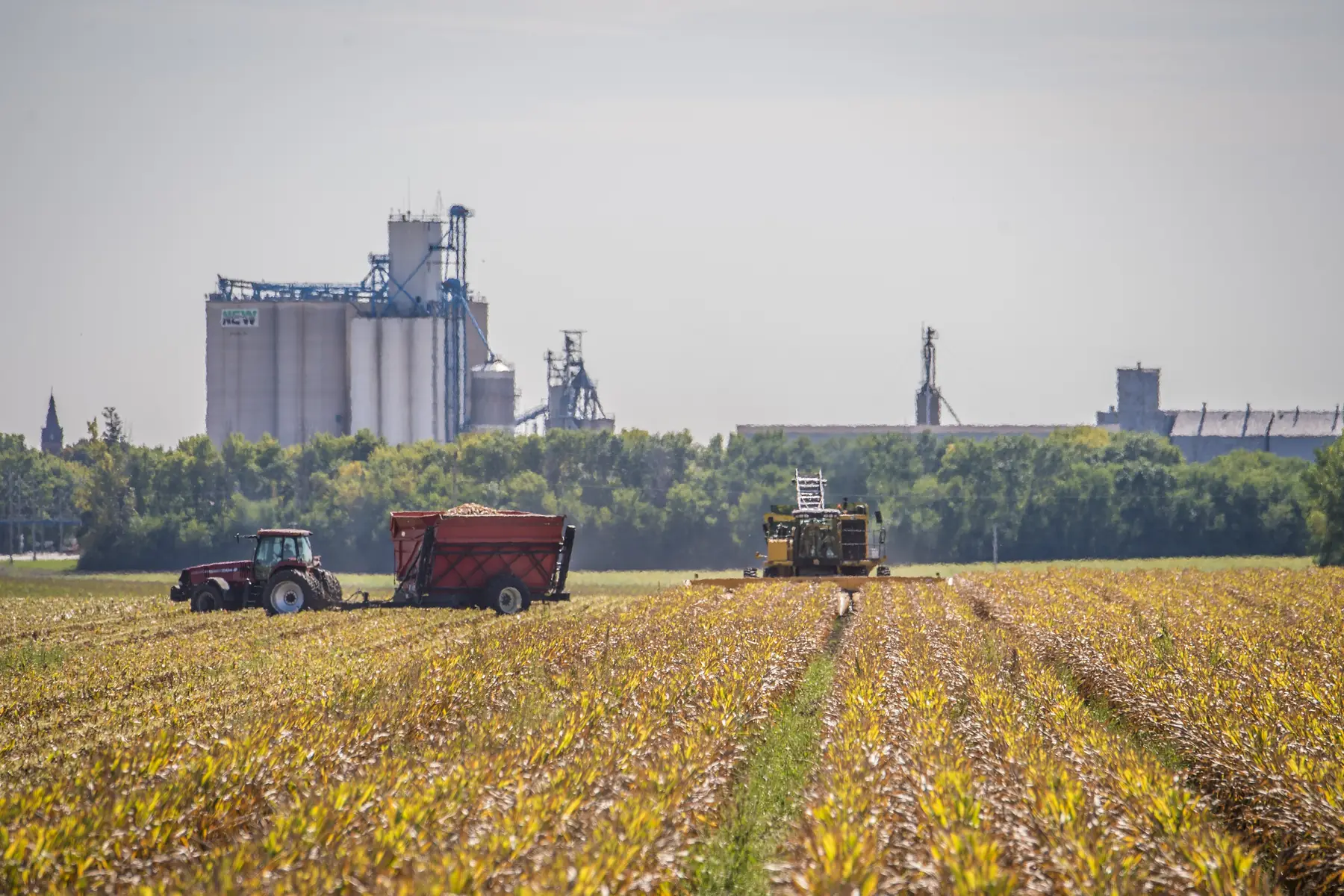 A combine and grain cart harvesting corn, with a grain elevator behind